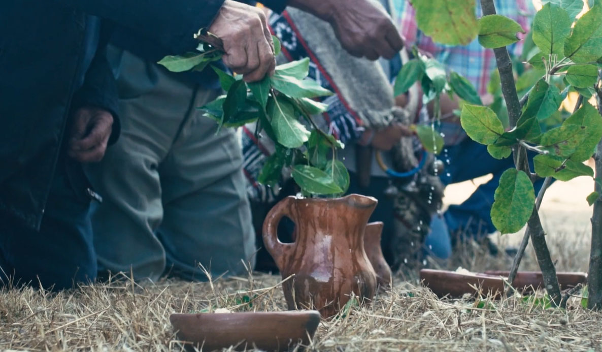 ceremonia mapuche newen2